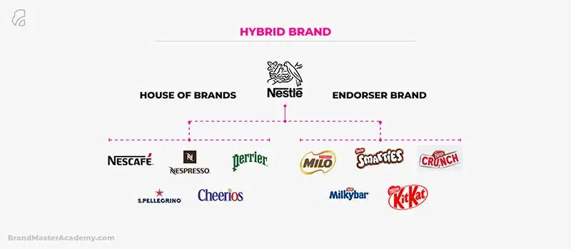 brand family - Google-søk  Brand architecture, Brand strategy, Successful  branding