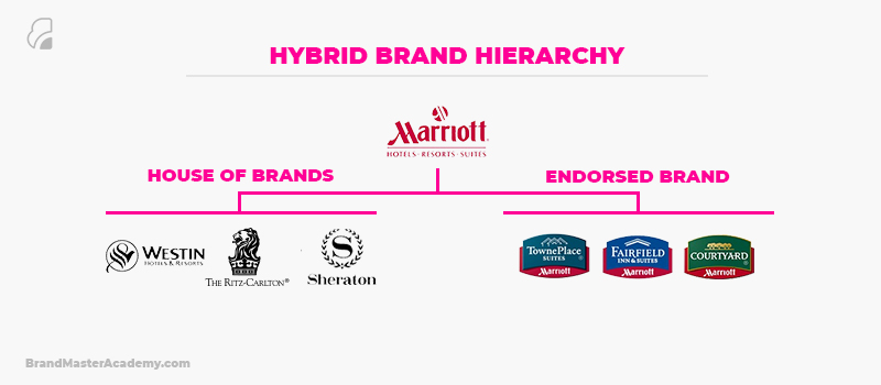 Illustration of Marriott Hotels Endorsed Brand Hierarchy